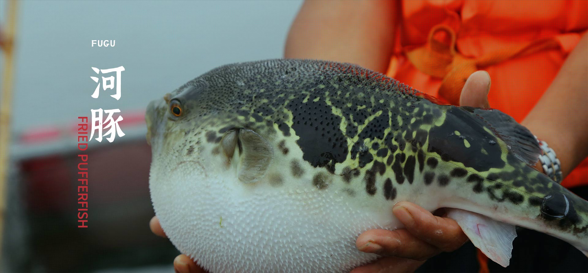 首页| 88858cc永利集团(Macau)官方网站